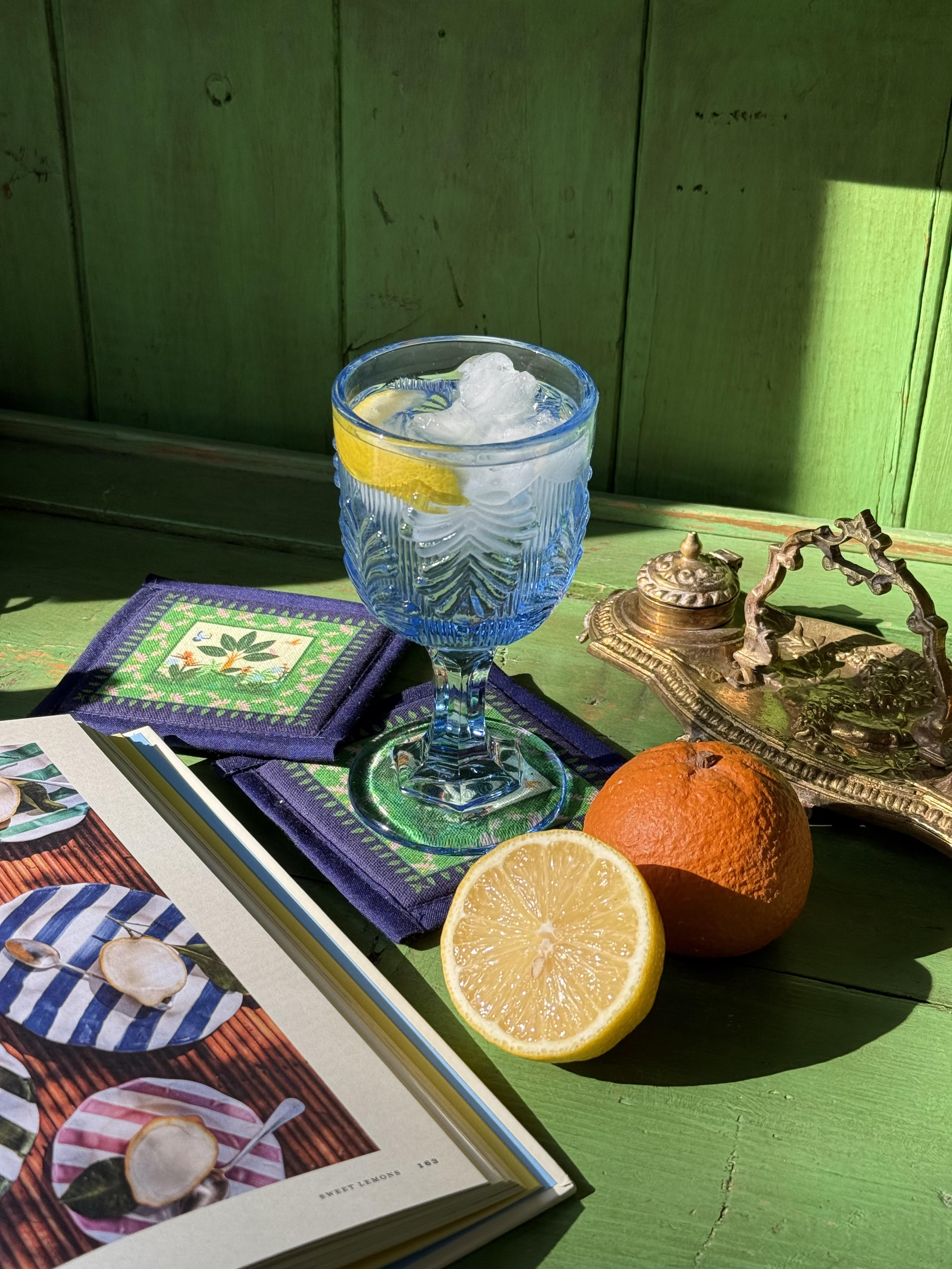 Coasters (Set of 4) | Jungle