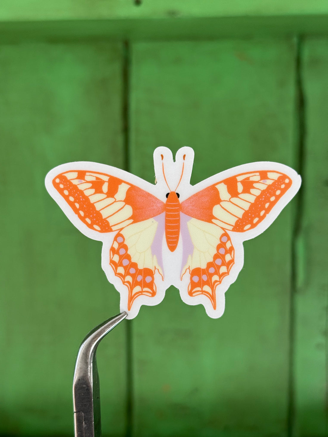 Orange and cream butterfly die-cut sticker held with tweezers against a green wood background