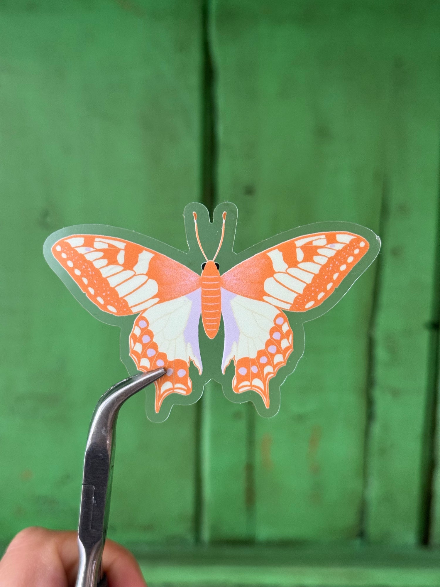 Butterfly Sticker – die-cut illustrated sticker | Hues of Summer