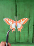 Butterfly Sticker – die-cut illustrated sticker | Hues of Summer